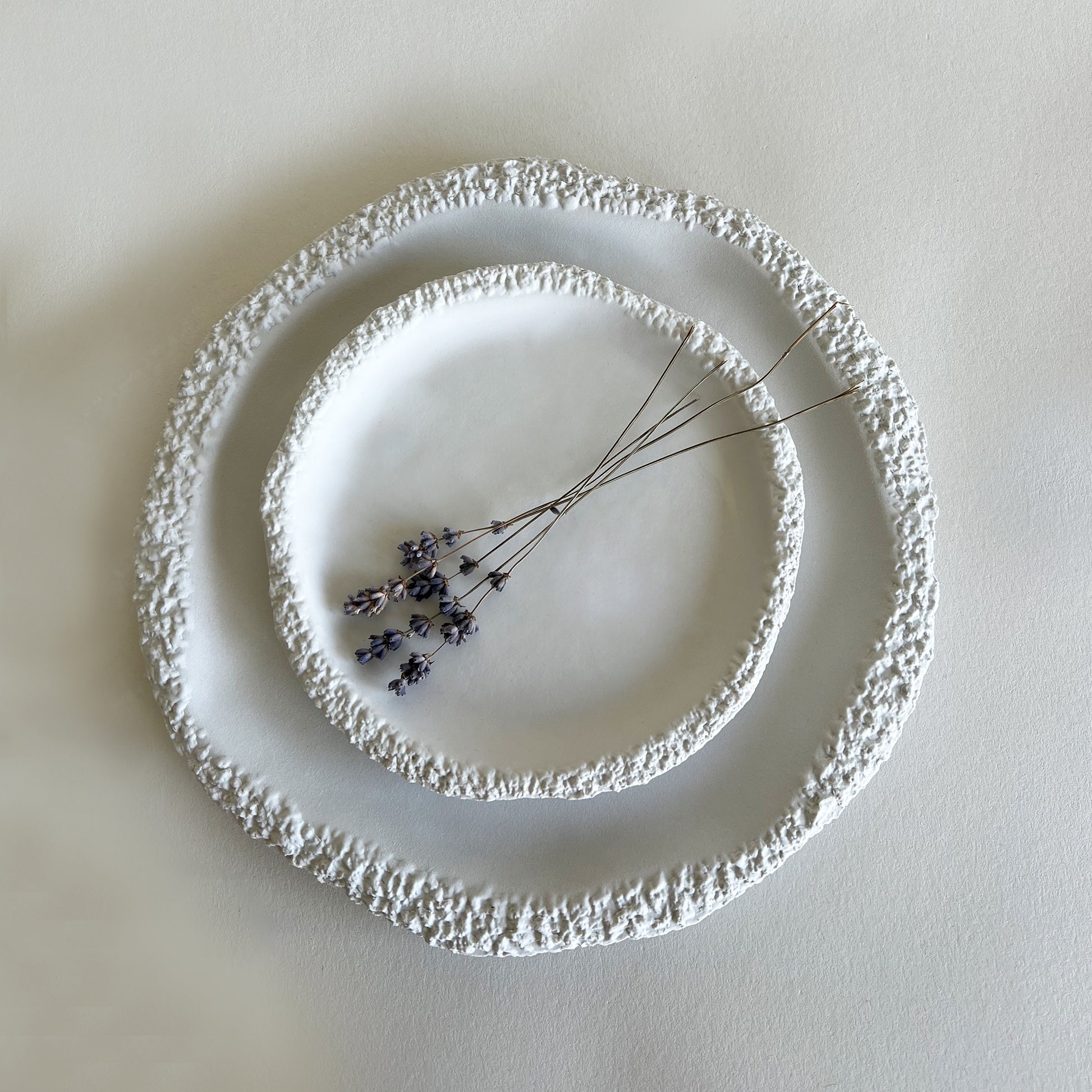 set of 2 white ceramic plates